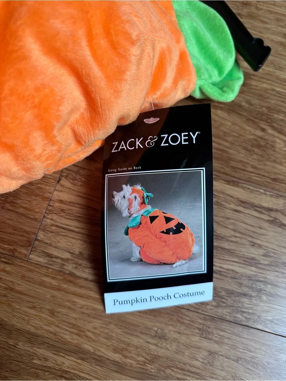 Zack & Zoey Pumpkin Pooch Dog Costume - Large
